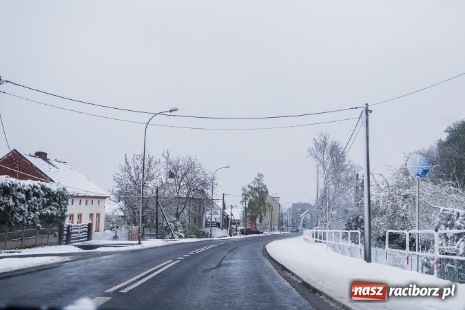 Zdjęcie w galerii na portalu naszraciborz.pl: Wiosna radosna w Raciborzu FOTOREPORTAŻ wiadomości z regionu