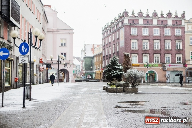 Zdjęcie w galerii na portalu naszraciborz.pl: Wiosna radosna w Raciborzu FOTOREPORTAŻ wiadomości z regionu