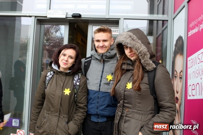 Zdjęcie w galerii na portalu naszraciborz.pl: Wolontariusze z Gimnazjum nr 5 rozdawali żonkile  wiadomości z regionu