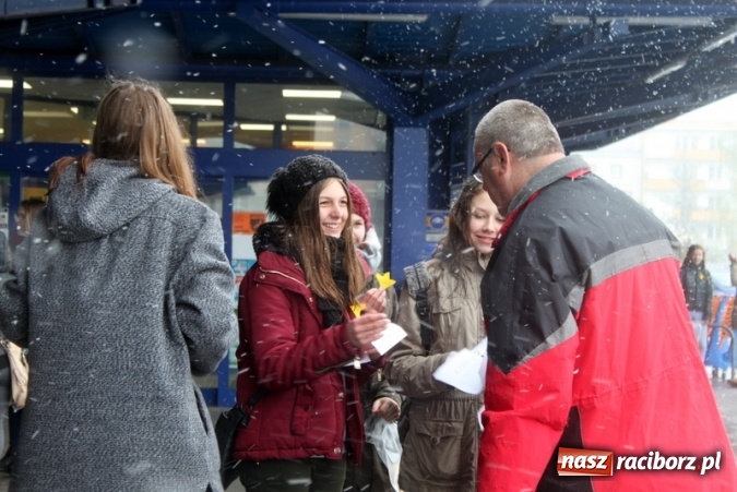 Zdjęcie w galerii na portalu naszraciborz.pl: Wolontariusze z Gimnazjum nr 5 rozdawali żonkile  wiadomości z regionu