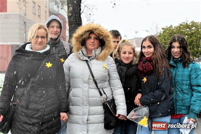 Zdjęcie w galerii na portalu naszraciborz.pl: Wolontariusze z Gimnazjum nr 5 rozdawali żonkile  wiadomości z regionu