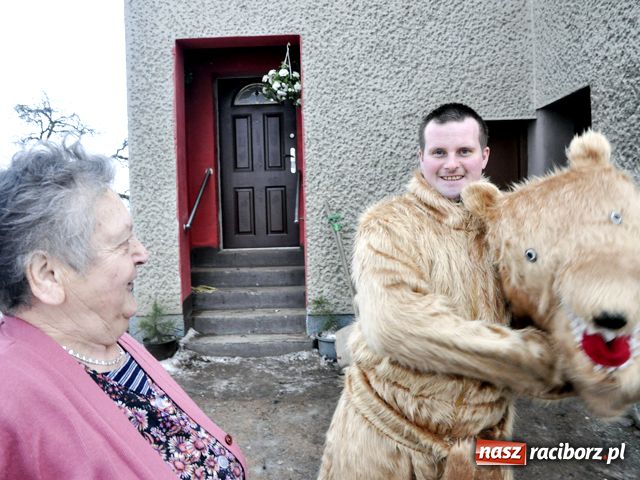 Zdjęcie w galerii na portalu naszraciborz.pl: Ber chodzi już po domach wiadomości z regionu