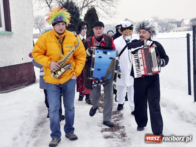 Zdjęcie w galerii na portalu naszraciborz.pl: Ber chodzi już po domach wiadomości z regionu