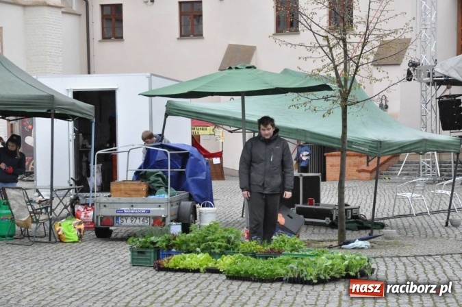 Zdjęcie w galerii na portalu naszraciborz.pl: Pogoda rankiem przestraszyła, ale zamkowy jarmark ruszył  wiadomości z regionu