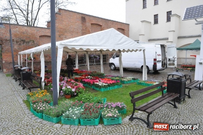 Zdjęcie w galerii na portalu naszraciborz.pl: Pogoda rankiem przestraszyła, ale zamkowy jarmark ruszył  wiadomości z regionu