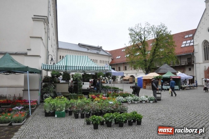 Zdjęcie w galerii na portalu naszraciborz.pl: Pogoda rankiem przestraszyła, ale zamkowy jarmark ruszył  wiadomości z regionu