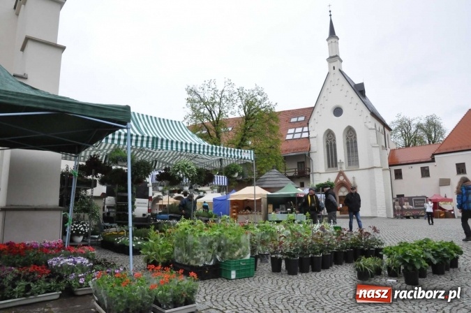 Zdjęcie w galerii na portalu naszraciborz.pl: Pogoda rankiem przestraszyła, ale zamkowy jarmark ruszył  wiadomości z regionu