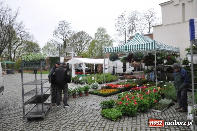 Zdjęcie w galerii na portalu naszraciborz.pl: Pogoda rankiem przestraszyła, ale zamkowy jarmark ruszył  wiadomości z regionu