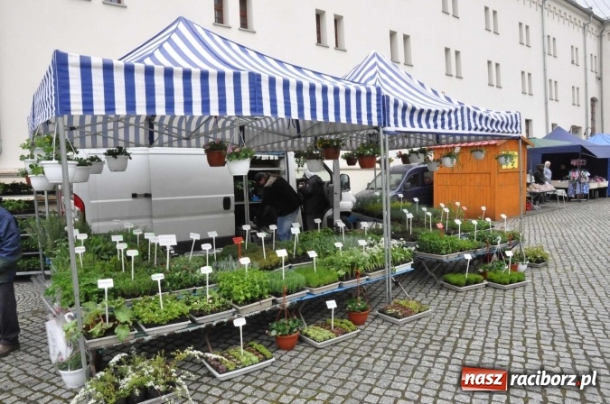 Zdjęcie w galerii na portalu naszraciborz.pl: Pogoda rankiem przestraszyła, ale zamkowy jarmark ruszył  wiadomości z regionu