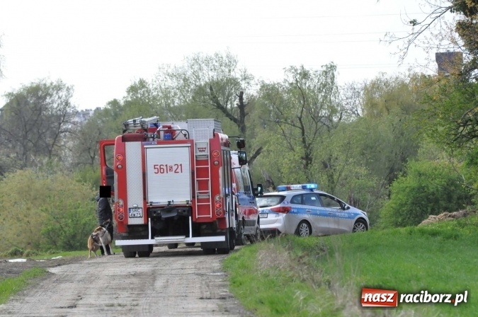Zdjęcie w galerii na portalu naszraciborz.pl: Tragedia nad Odrą. Nie żyje 33-letni raciborzanin  wiadomości z regionu