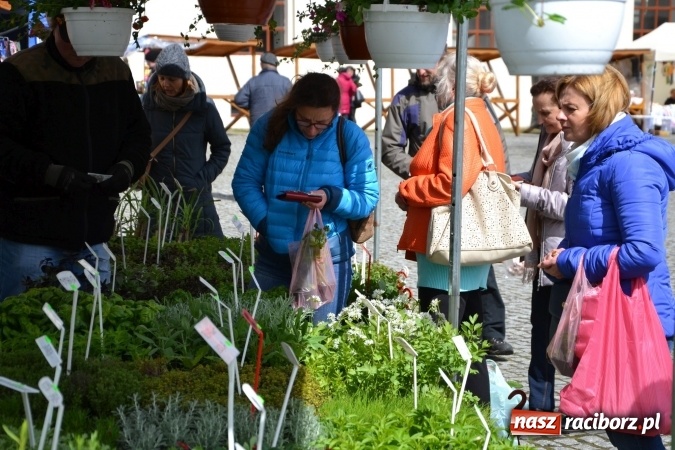 Zdjęcie w galerii na portalu naszraciborz.pl: V Zamkowy Jarmark kwiatów, żywności ekologicznej i rękodzieła na Zamku Piastowskim za nami  wiadomości z regionu