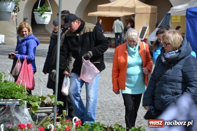 Zdjęcie w galerii na portalu naszraciborz.pl: V Zamkowy Jarmark kwiatów, żywności ekologicznej i rękodzieła na Zamku Piastowskim za nami  wiadomości z regionu