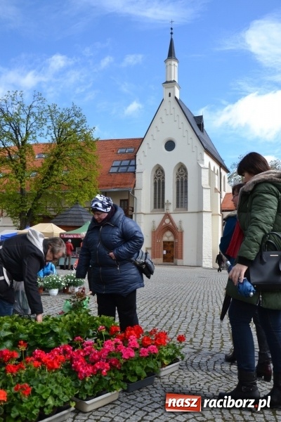 Zdjęcie w galerii na portalu naszraciborz.pl: V Zamkowy Jarmark kwiatów, żywności ekologicznej i rękodzieła na Zamku Piastowskim za nami  wiadomości z regionu