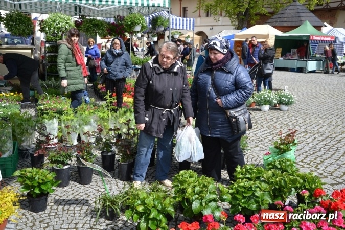Zdjęcie w galerii na portalu naszraciborz.pl: V Zamkowy Jarmark kwiatów, żywności ekologicznej i rękodzieła na Zamku Piastowskim za nami  wiadomości z regionu