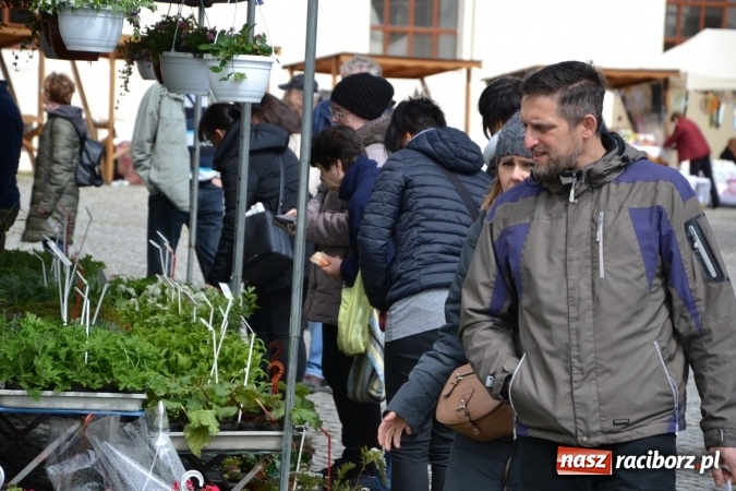 Zdjęcie w galerii na portalu naszraciborz.pl: V Zamkowy Jarmark kwiatów, żywności ekologicznej i rękodzieła na Zamku Piastowskim za nami  wiadomości z regionu