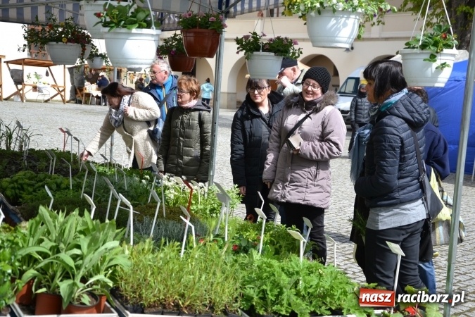 Zdjęcie w galerii na portalu naszraciborz.pl: V Zamkowy Jarmark kwiatów, żywności ekologicznej i rękodzieła na Zamku Piastowskim za nami  wiadomości z regionu