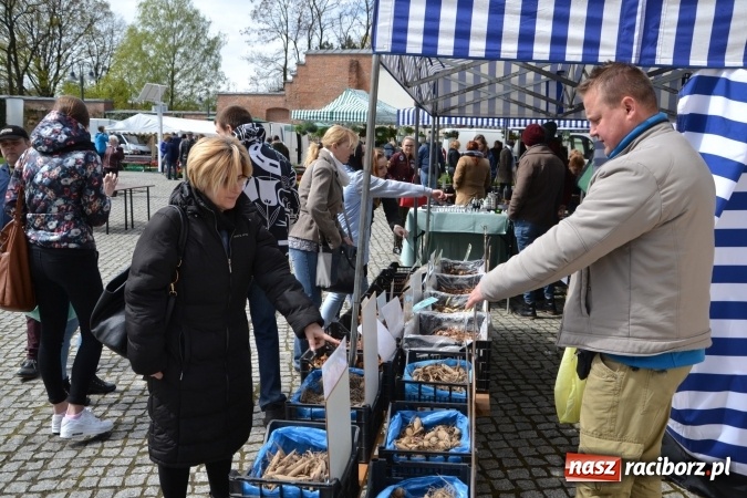 Zdjęcie w galerii na portalu naszraciborz.pl: V Zamkowy Jarmark kwiatów, żywności ekologicznej i rękodzieła na Zamku Piastowskim za nami  wiadomości z regionu