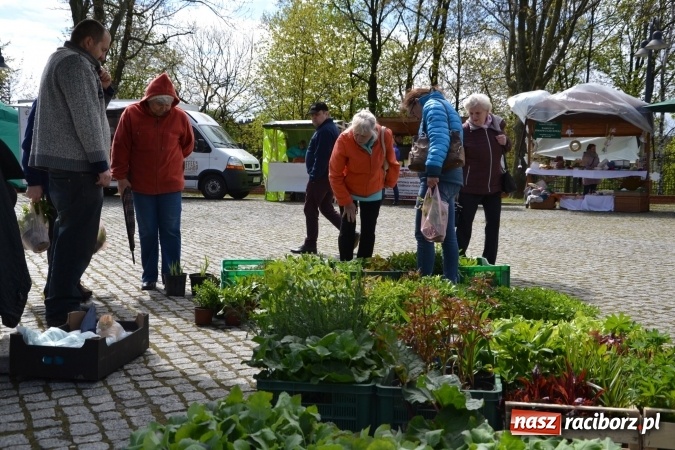 Zdjęcie w galerii na portalu naszraciborz.pl: V Zamkowy Jarmark kwiatów, żywności ekologicznej i rękodzieła na Zamku Piastowskim za nami  wiadomości z regionu