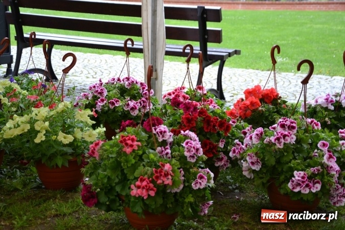 Zdjęcie w galerii na portalu naszraciborz.pl: V Zamkowy Jarmark kwiatów, żywności ekologicznej i rękodzieła na Zamku Piastowskim za nami  wiadomości z regionu