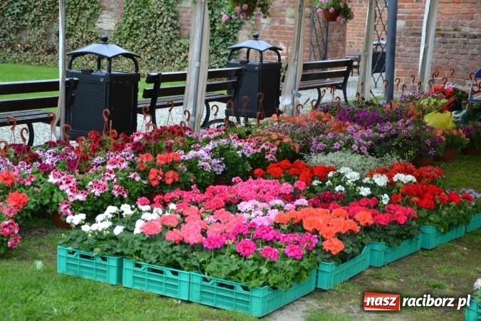 Zdjęcie w galerii na portalu naszraciborz.pl: V Zamkowy Jarmark kwiatów, żywności ekologicznej i rękodzieła na Zamku Piastowskim za nami  wiadomości z regionu