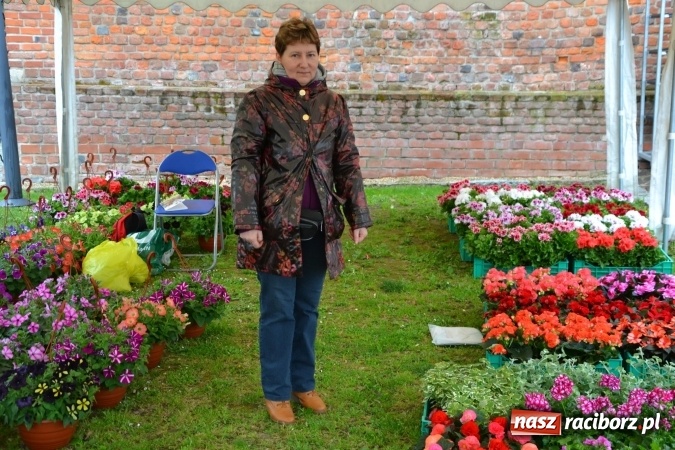 Zdjęcie w galerii na portalu naszraciborz.pl: V Zamkowy Jarmark kwiatów, żywności ekologicznej i rękodzieła na Zamku Piastowskim za nami  wiadomości z regionu