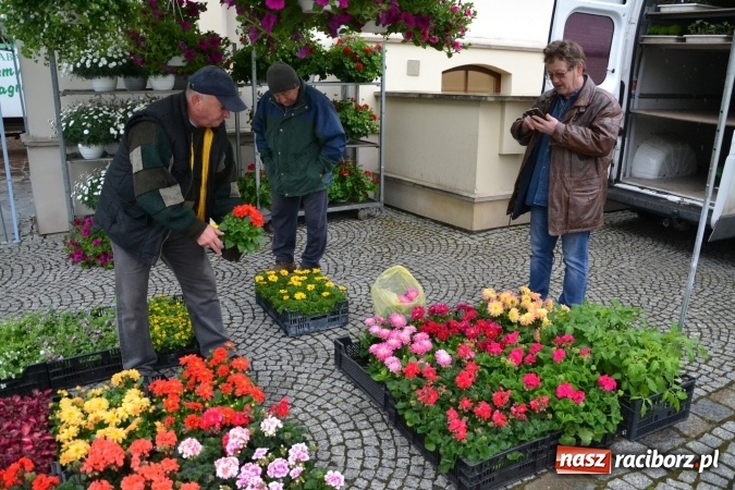 Zdjęcie w galerii na portalu naszraciborz.pl: V Zamkowy Jarmark kwiatów, żywności ekologicznej i rękodzieła na Zamku Piastowskim za nami  wiadomości z regionu
