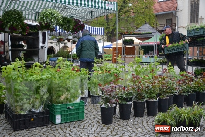 Zdjęcie w galerii na portalu naszraciborz.pl: V Zamkowy Jarmark kwiatów, żywności ekologicznej i rękodzieła na Zamku Piastowskim za nami  wiadomości z regionu