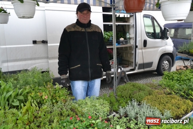 Zdjęcie w galerii na portalu naszraciborz.pl: V Zamkowy Jarmark kwiatów, żywności ekologicznej i rękodzieła na Zamku Piastowskim za nami  wiadomości z regionu