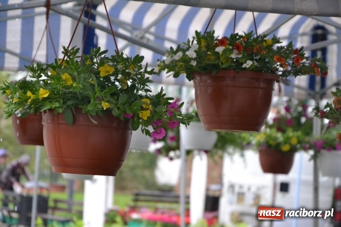 Zdjęcie w galerii na portalu naszraciborz.pl: V Zamkowy Jarmark kwiatów, żywności ekologicznej i rękodzieła na Zamku Piastowskim za nami  wiadomości z regionu