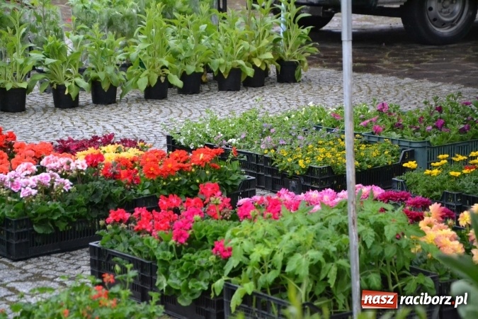 Zdjęcie w galerii na portalu naszraciborz.pl: V Zamkowy Jarmark kwiatów, żywności ekologicznej i rękodzieła na Zamku Piastowskim za nami  wiadomości z regionu