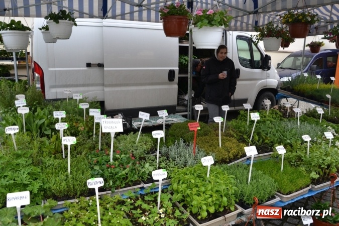 Zdjęcie w galerii na portalu naszraciborz.pl: V Zamkowy Jarmark kwiatów, żywności ekologicznej i rękodzieła na Zamku Piastowskim za nami  wiadomości z regionu