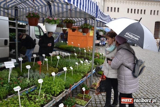 Zdjęcie w galerii na portalu naszraciborz.pl: V Zamkowy Jarmark kwiatów, żywności ekologicznej i rękodzieła na Zamku Piastowskim za nami  wiadomości z regionu