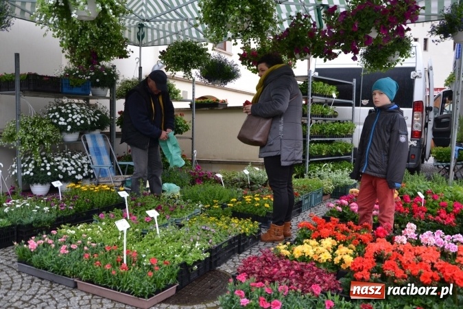 Zdjęcie w galerii na portalu naszraciborz.pl: V Zamkowy Jarmark kwiatów, żywności ekologicznej i rękodzieła na Zamku Piastowskim za nami  wiadomości z regionu