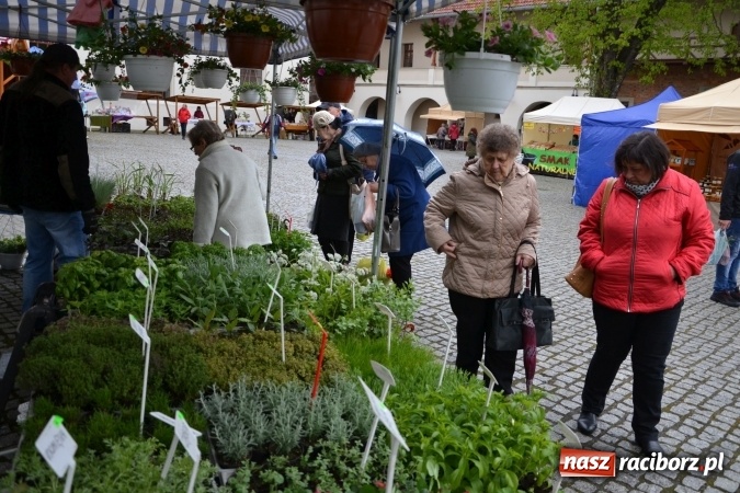 Zdjęcie w galerii na portalu naszraciborz.pl: V Zamkowy Jarmark kwiatów, żywności ekologicznej i rękodzieła na Zamku Piastowskim za nami  wiadomości z regionu