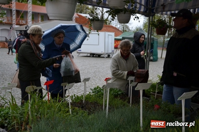 Zdjęcie w galerii na portalu naszraciborz.pl: V Zamkowy Jarmark kwiatów, żywności ekologicznej i rękodzieła na Zamku Piastowskim za nami  wiadomości z regionu