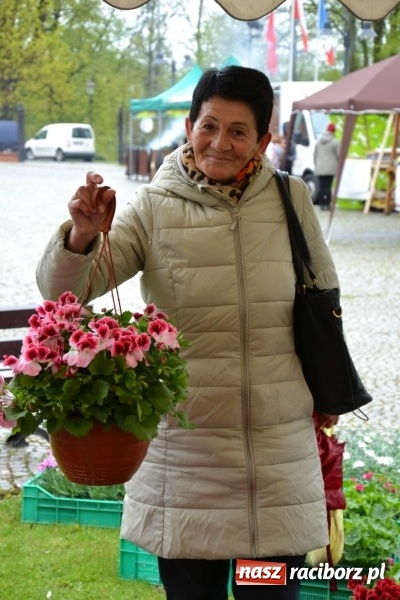 Zdjęcie w galerii na portalu naszraciborz.pl: V Zamkowy Jarmark kwiatów, żywności ekologicznej i rękodzieła na Zamku Piastowskim za nami  wiadomości z regionu