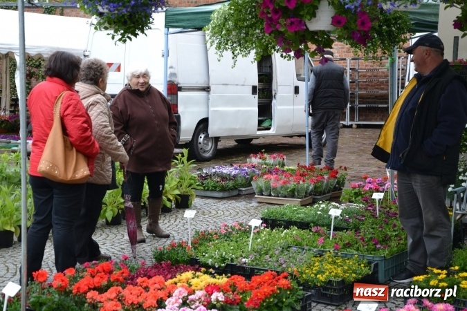 Zdjęcie w galerii na portalu naszraciborz.pl: V Zamkowy Jarmark kwiatów, żywności ekologicznej i rękodzieła na Zamku Piastowskim za nami  wiadomości z regionu