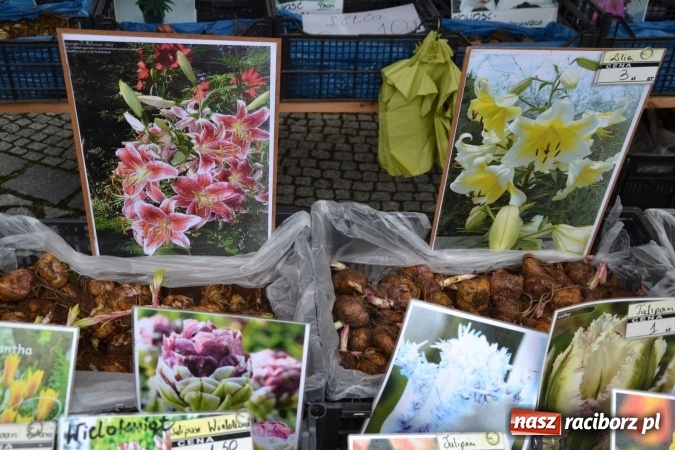 Zdjęcie w galerii na portalu naszraciborz.pl: V Zamkowy Jarmark kwiatów, żywności ekologicznej i rękodzieła na Zamku Piastowskim za nami  wiadomości z regionu