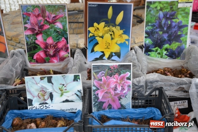 Zdjęcie w galerii na portalu naszraciborz.pl: V Zamkowy Jarmark kwiatów, żywności ekologicznej i rękodzieła na Zamku Piastowskim za nami  wiadomości z regionu