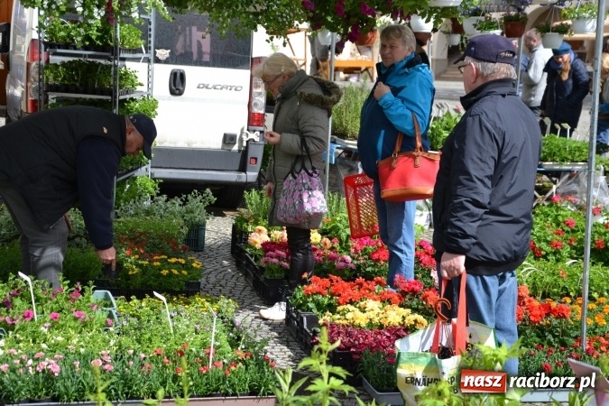 Zdjęcie w galerii na portalu naszraciborz.pl: V Zamkowy Jarmark kwiatów, żywności ekologicznej i rękodzieła na Zamku Piastowskim za nami  wiadomości z regionu