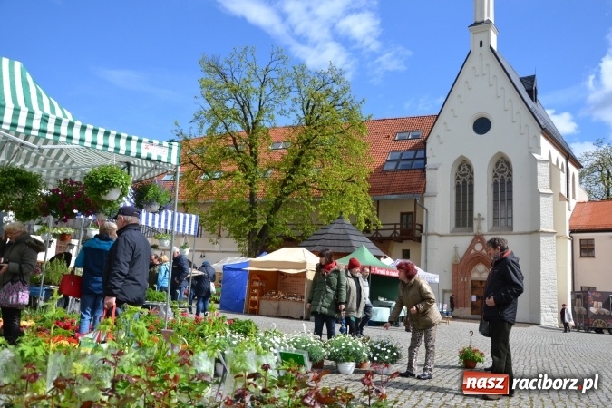 Zdjęcie w galerii na portalu naszraciborz.pl: V Zamkowy Jarmark kwiatów, żywności ekologicznej i rękodzieła na Zamku Piastowskim za nami  wiadomości z regionu