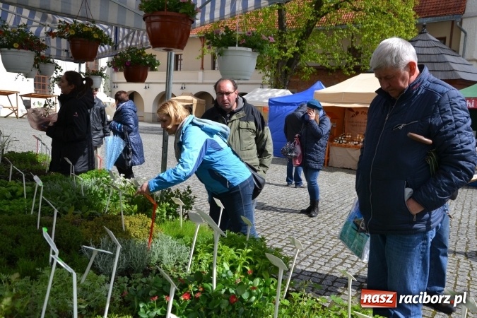 Zdjęcie w galerii na portalu naszraciborz.pl: V Zamkowy Jarmark kwiatów, żywności ekologicznej i rękodzieła na Zamku Piastowskim za nami  wiadomości z regionu