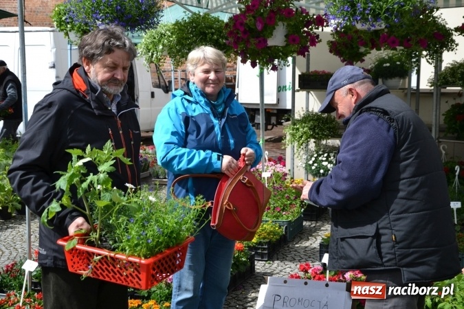 Zdjęcie w galerii na portalu naszraciborz.pl: V Zamkowy Jarmark kwiatów, żywności ekologicznej i rękodzieła na Zamku Piastowskim za nami  wiadomości z regionu