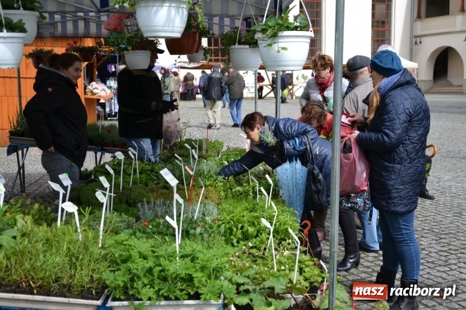 Zdjęcie w galerii na portalu naszraciborz.pl: V Zamkowy Jarmark kwiatów, żywności ekologicznej i rękodzieła na Zamku Piastowskim za nami  wiadomości z regionu