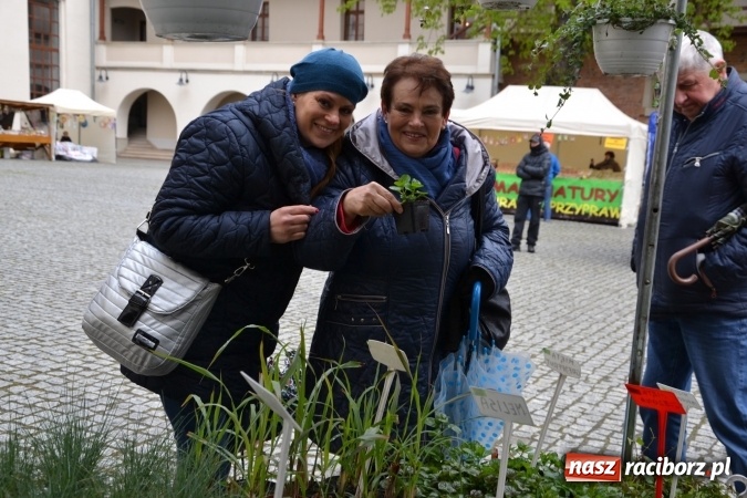 Zdjęcie w galerii na portalu naszraciborz.pl: V Zamkowy Jarmark kwiatów, żywności ekologicznej i rękodzieła na Zamku Piastowskim za nami  wiadomości z regionu