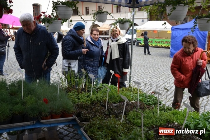 Zdjęcie w galerii na portalu naszraciborz.pl: V Zamkowy Jarmark kwiatów, żywności ekologicznej i rękodzieła na Zamku Piastowskim za nami  wiadomości z regionu