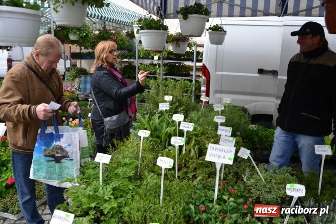Zdjęcie w galerii na portalu naszraciborz.pl: V Zamkowy Jarmark kwiatów, żywności ekologicznej i rękodzieła na Zamku Piastowskim za nami  wiadomości z regionu