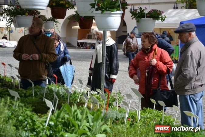 Zdjęcie w galerii na portalu naszraciborz.pl: V Zamkowy Jarmark kwiatów, żywności ekologicznej i rękodzieła na Zamku Piastowskim za nami  wiadomości z regionu