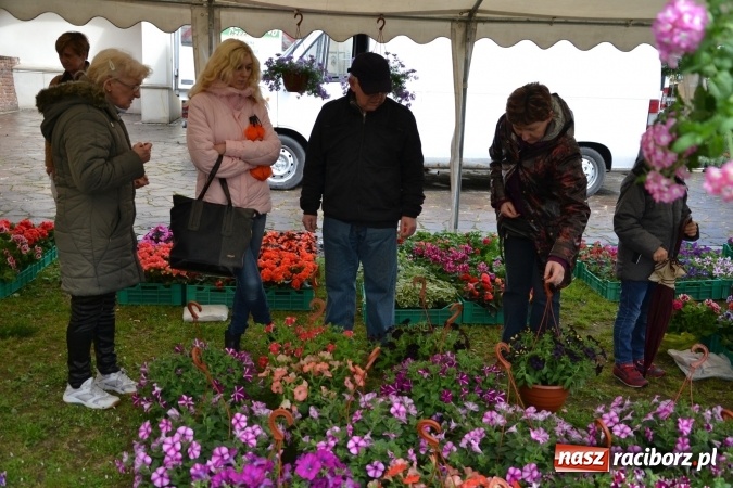 Zdjęcie w galerii na portalu naszraciborz.pl: V Zamkowy Jarmark kwiatów, żywności ekologicznej i rękodzieła na Zamku Piastowskim za nami  wiadomości z regionu
