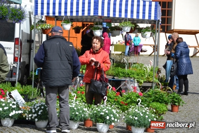 Zdjęcie w galerii na portalu naszraciborz.pl: V Zamkowy Jarmark kwiatów, żywności ekologicznej i rękodzieła na Zamku Piastowskim za nami  wiadomości z regionu
